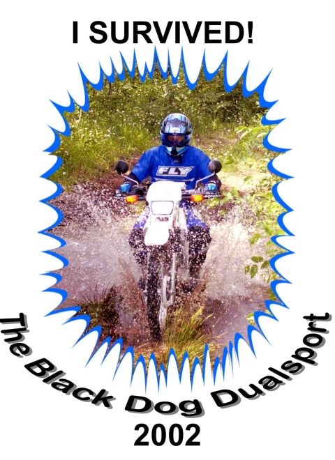 1992 Yamaha Virago photo