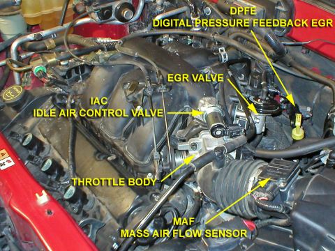 2003 Ford Escape photo