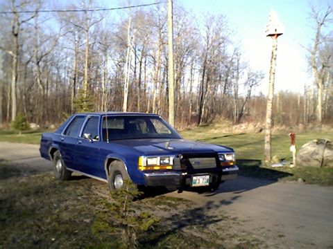1988 Ford Crown Victoria photo