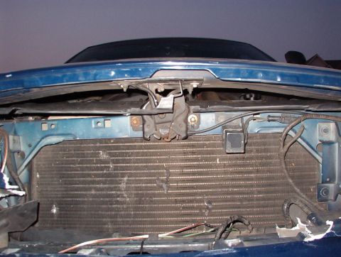 1999 Ford Crown Victoria photo