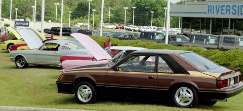 1980 Ford Mustang “Cookie”