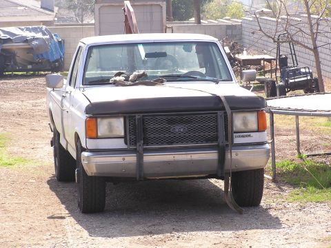1988 Ford F-250 “Domino (Sold 7/12)”
