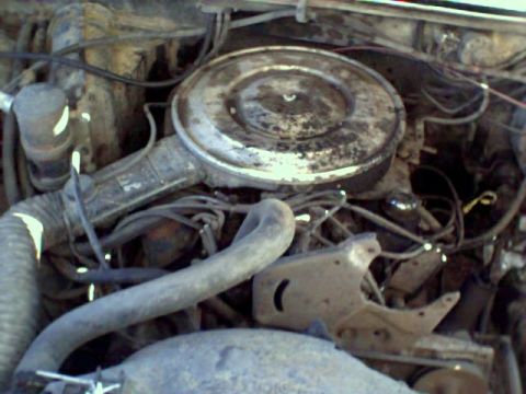 1986 Ford Bronco photo
