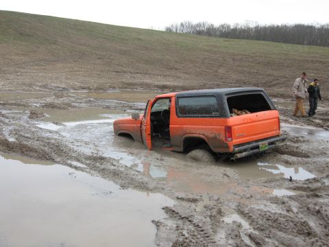 1984 Ford Bronco photo