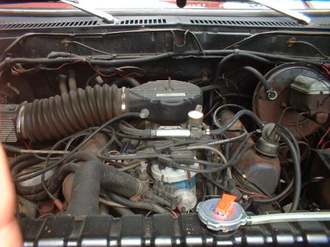 1979 Ford Bronco photo