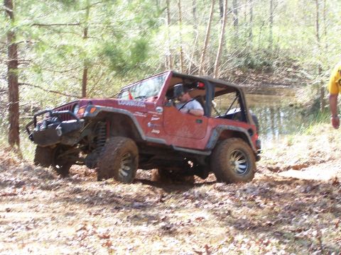 1981 Ford Bronco photo