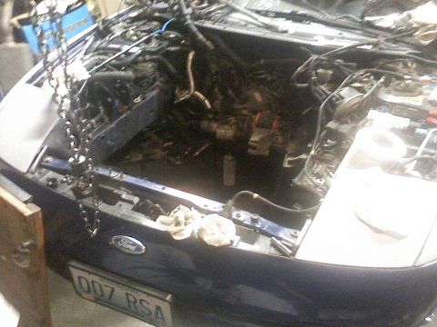 1994 Ford Probe photo