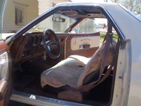 1976 Ford Ranchero photo