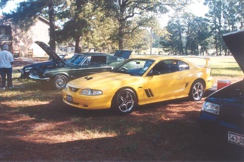 2002 Ford Crown Victoria photo