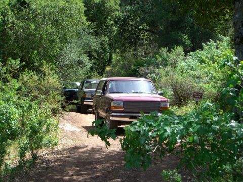 1980 Ford F-250 photo