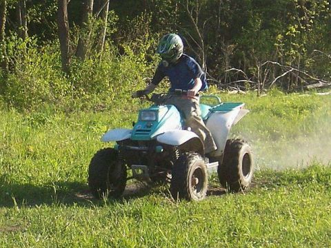 1994 Polaris TRAIL BOSS 325 photo