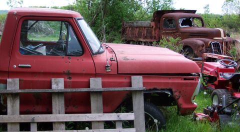 1979 Ford F-150 photo