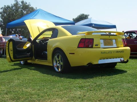 2002 Ford Mustang photo