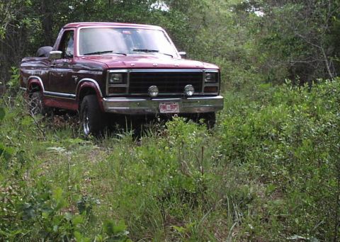 1981 Ford Bronco “tainted love”