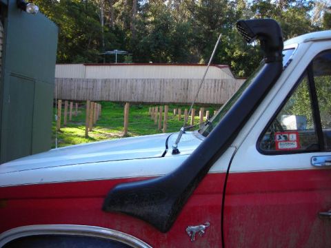 1982 Ford Bronco photo