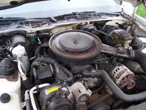 1995 Ford Probe photo