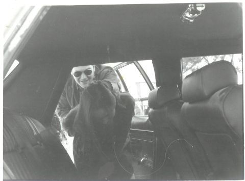 1987 Ford LTD Crown Victoria photo
