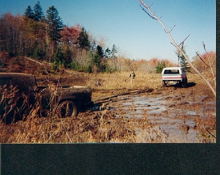 1989 Ford Bronco photo