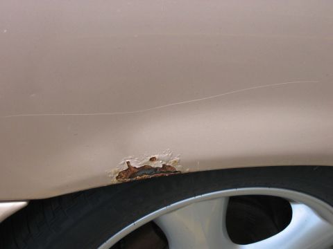 1991 Ford Taurus photo