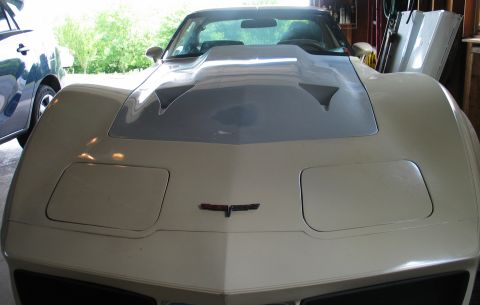 1981 Chevrolet Corvette photo