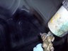 1998 Ford Crown Victoria “P-71”
