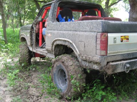 1986 Ford Bronco photo