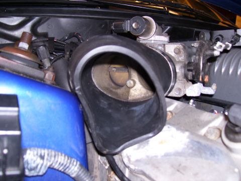 2003 Ford Mustang photo