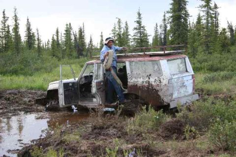1978 Ford Bronco photo