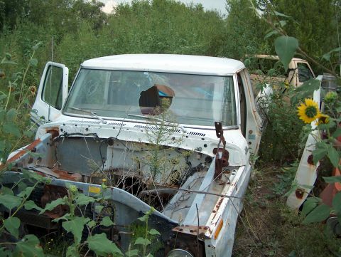 1979 Ford Bronco photo