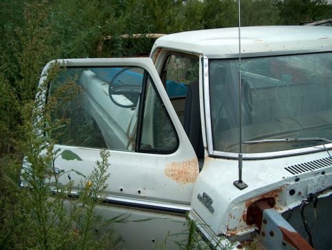 1979 Ford Bronco photo