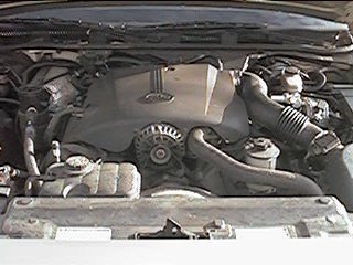 1998 Mercury Grand Marquis “Shabby/Shabster”