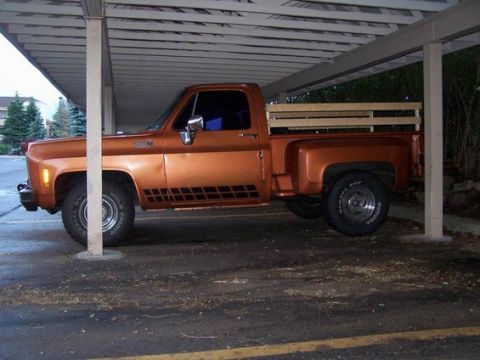 1979 Chevrolet C/K Pickup photo