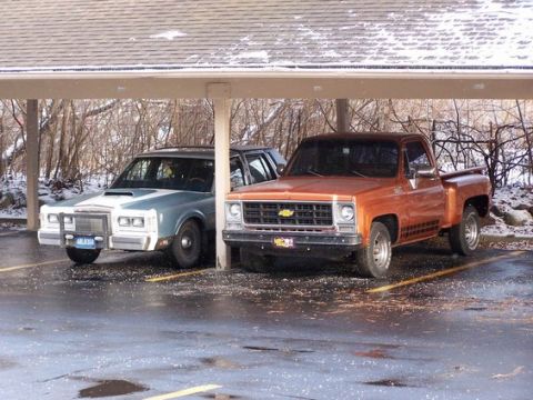 1979 Chevrolet C/K Pickup photo