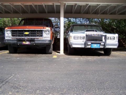 1979 Chevrolet C/K Pickup photo