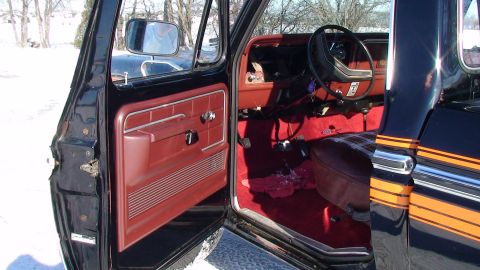 1979 Ford F-150 photo