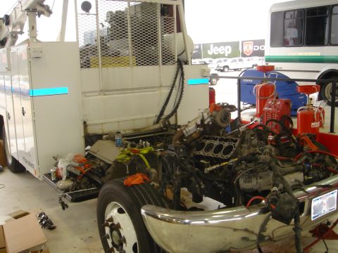 2002 Jeep Wrangler photo