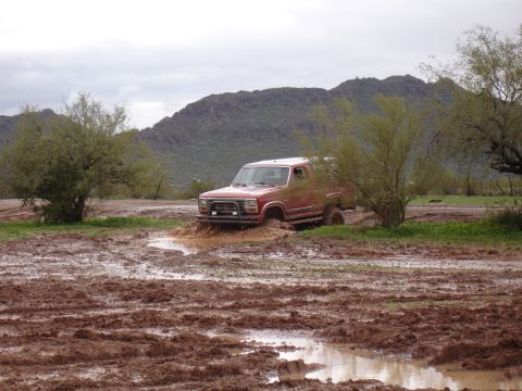 1984 Ford Bronco photo