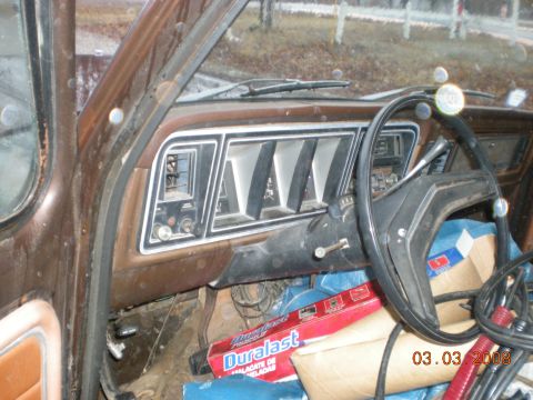 1978 Ford F-150 photo