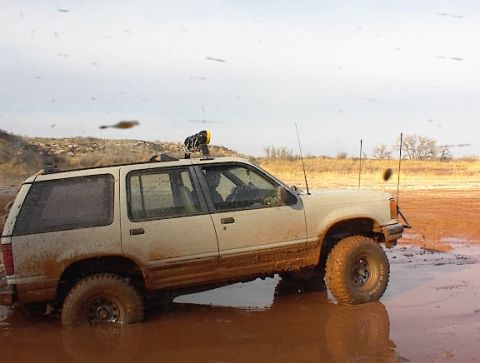 1981 Ford Bronco photo