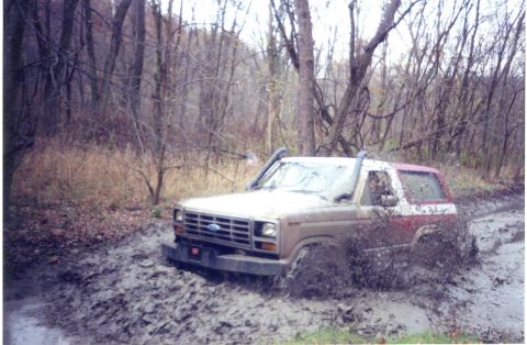 1982 Ford Bronco photo
