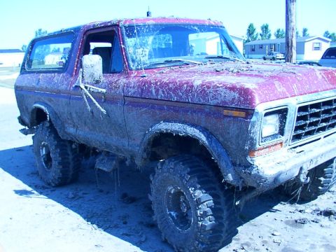 1979 Ford Bronco photo