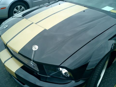 2006 Ford Mustang photo