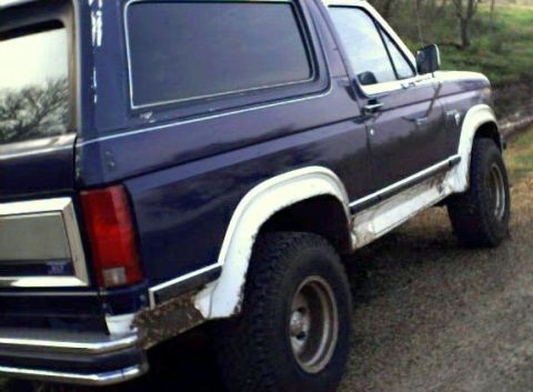 1981 Ford Bronco photo
