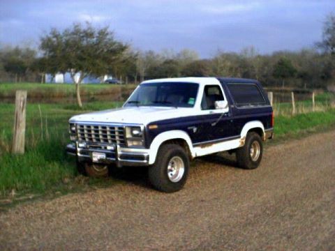 1981 Ford Bronco photo