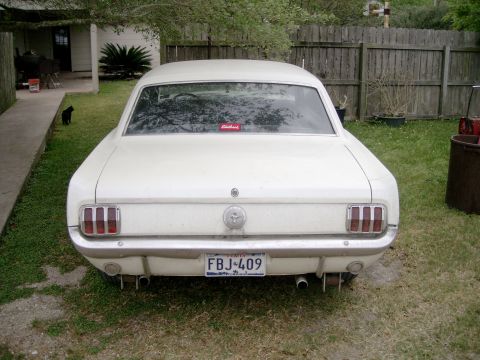 1965 Ford Mustang photo