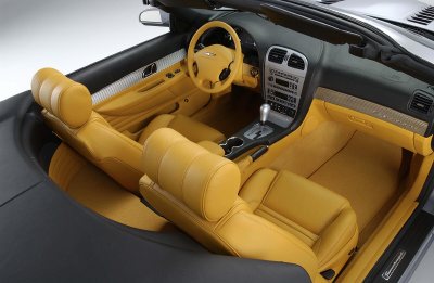 2004 Ford Thunderbird photo