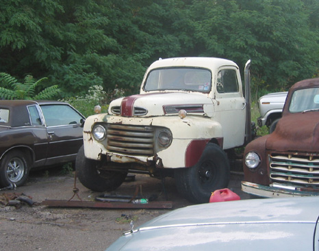 1950 Ford F1 photo