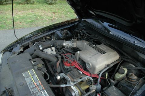 1995 Ford Mustang photo