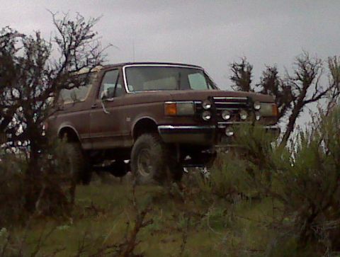 1990 Ford Bronco photo