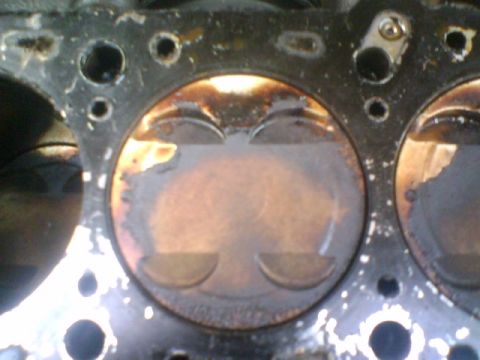 1994 Mazda Protege photo
